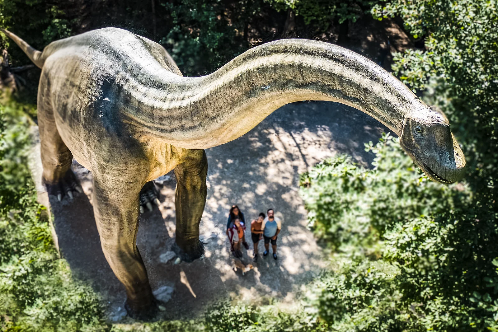Dinosaur park at the Dinosaurier Museum Altmühltal
